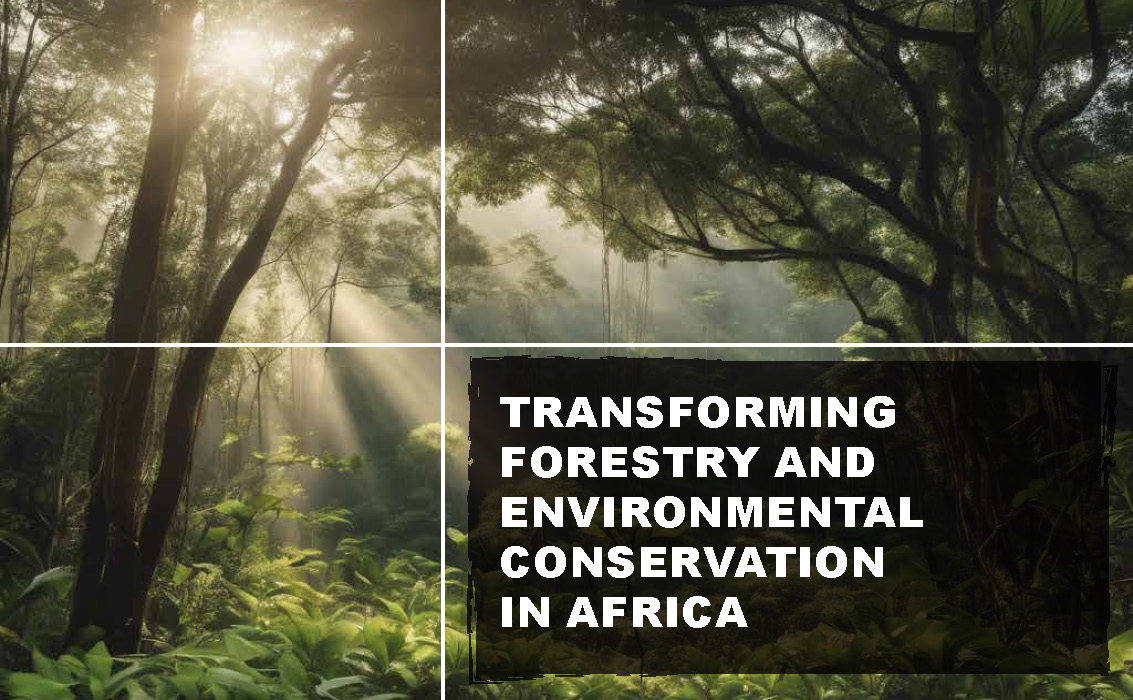 Transforming Forestry and Environmental Conservation in Africa_Page_02