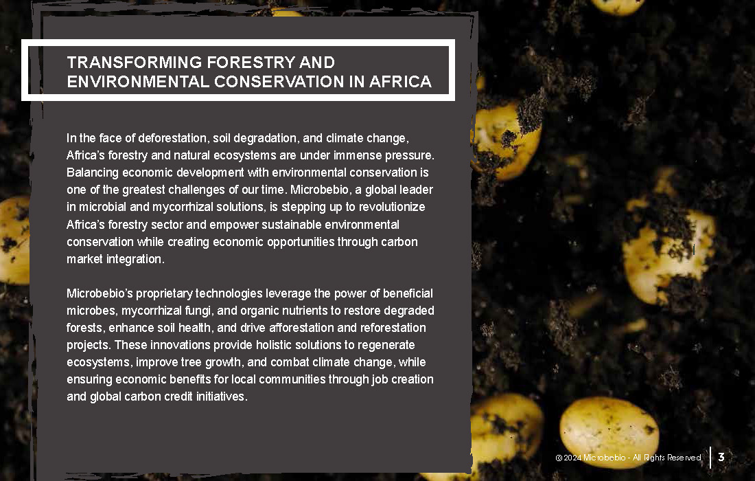 Transforming Forestry and Environmental Conservation in Africa_Page_03