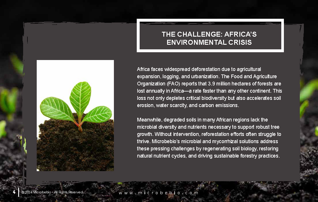 Transforming Forestry and Environmental Conservation in Africa_Page_04