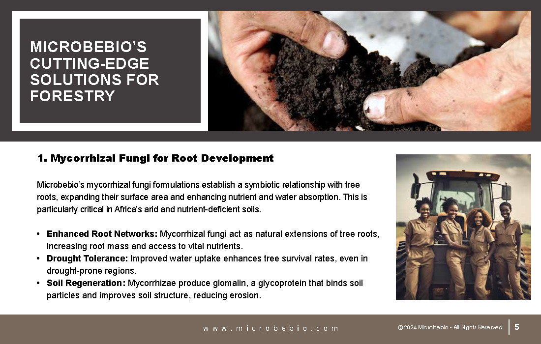 Transforming Forestry and Environmental Conservation in Africa_Page_05