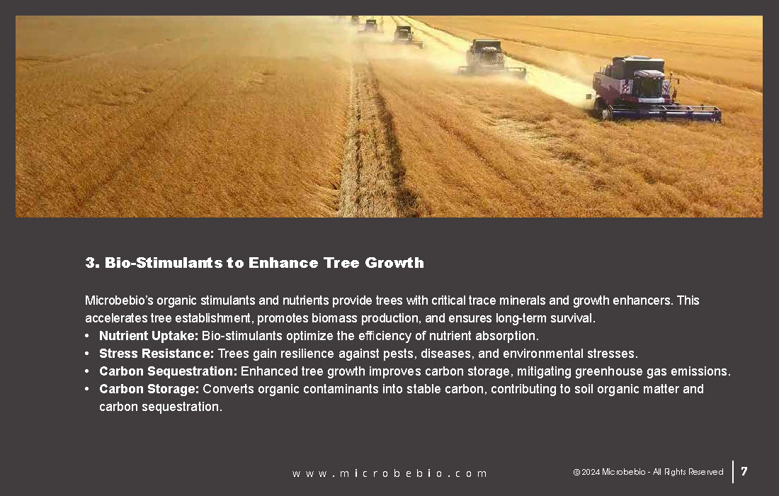 Transforming Forestry and Environmental Conservation in Africa_Page_07
