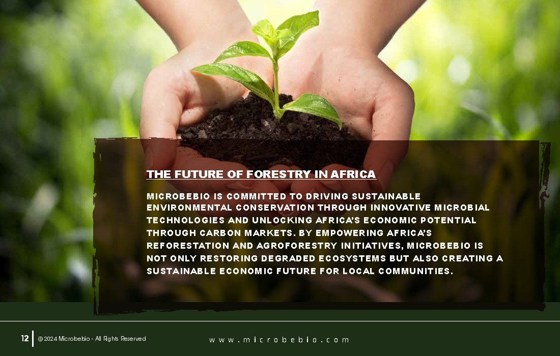 Transforming Forestry and Environmental Conservation in Africa_Page_12