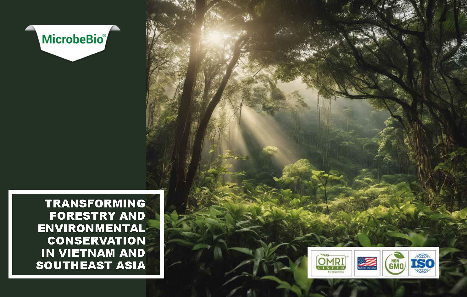 Transforming Forestry and Environmental Conservation in Vietnam and Southeast Asia_Page_1