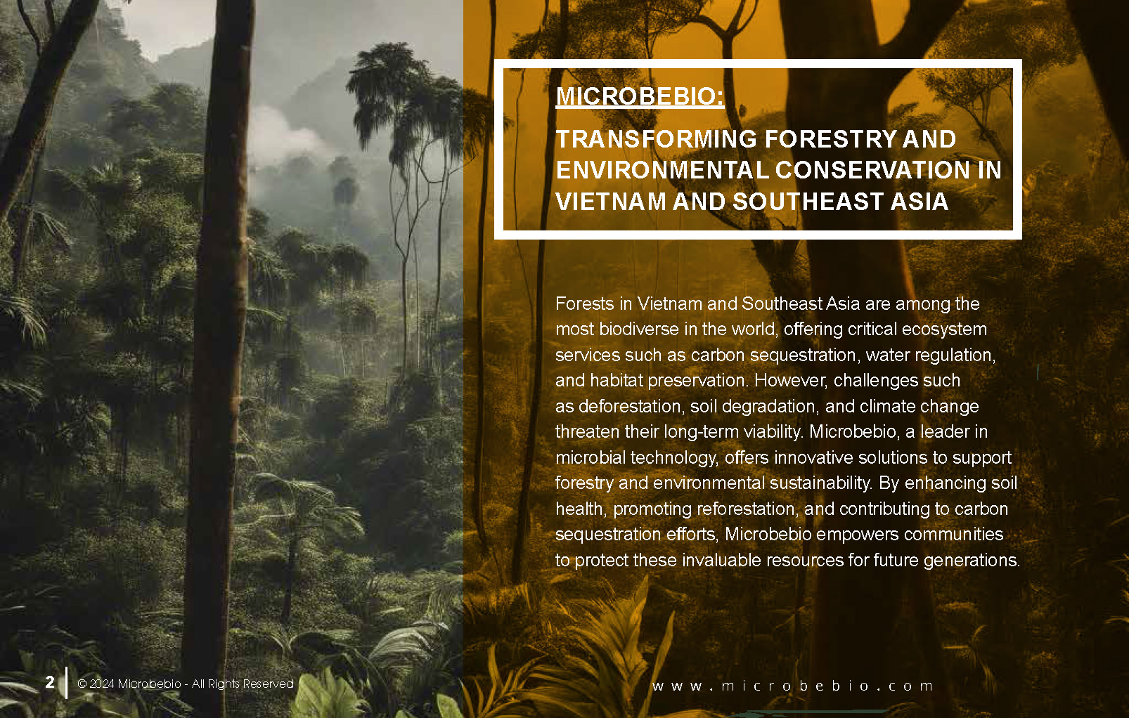 Transforming Forestry and Environmental Conservation in Vietnam and Southeast Asia_Page_2