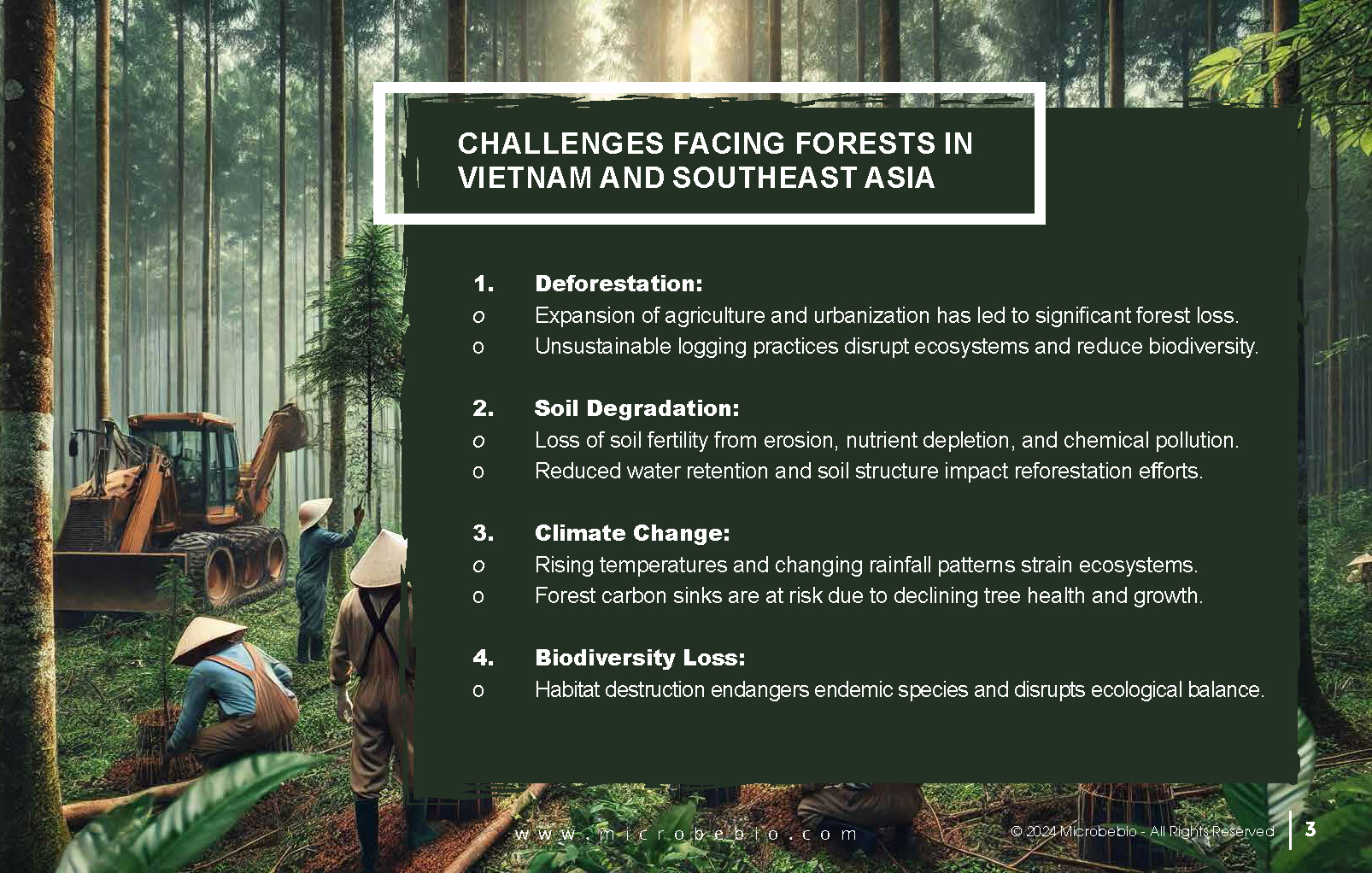 Transforming Forestry and Environmental Conservation in Vietnam and Southeast Asia_Page_3