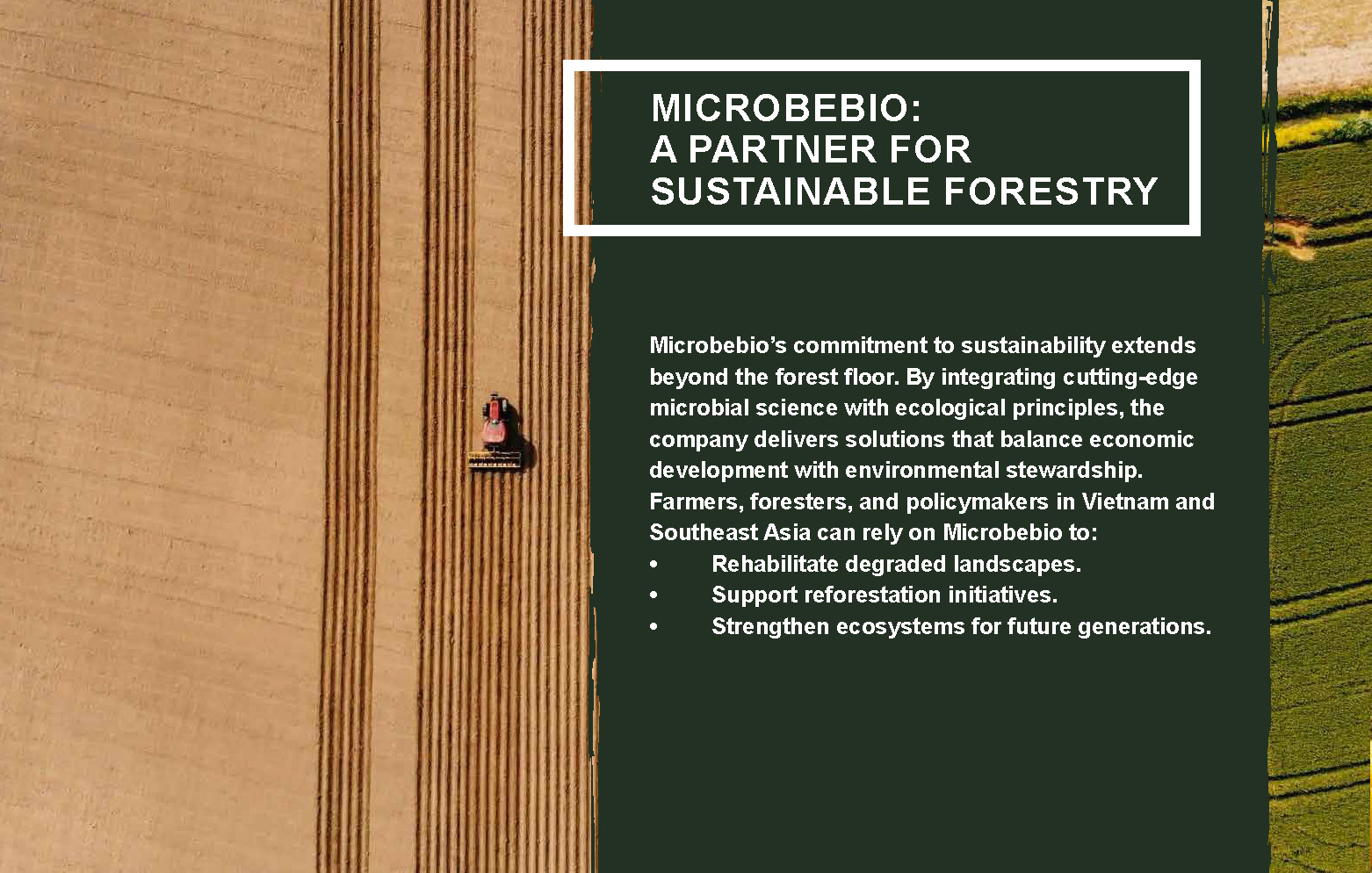 Transforming Forestry and Environmental Conservation in Vietnam and Southeast Asia_Page_8