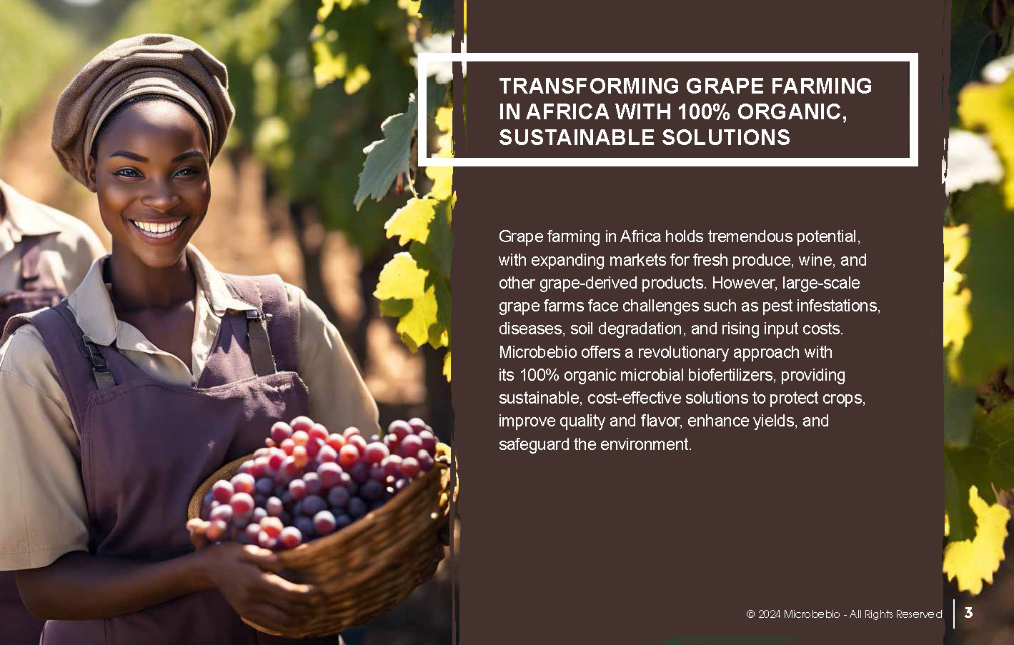 Transforming Grape Farming in Africa with 100 Organic, Sustainable Solutions - 12 16 24_Page_03
