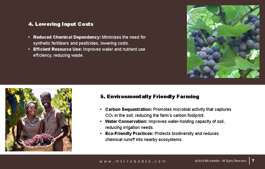 Transforming Grape Farming in Africa with 100 Organic, Sustainable Solutions - 12 16 24_Page_07