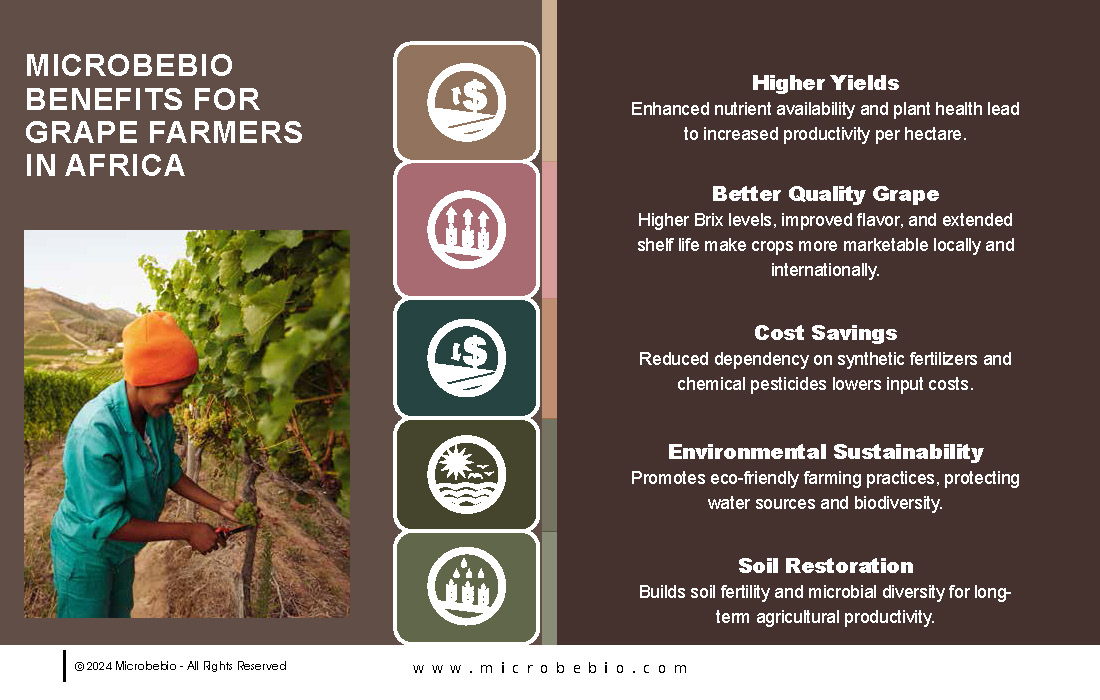 Transforming Grape Farming in Africa with 100 Organic, Sustainable Solutions - 12 16 24_Page_08