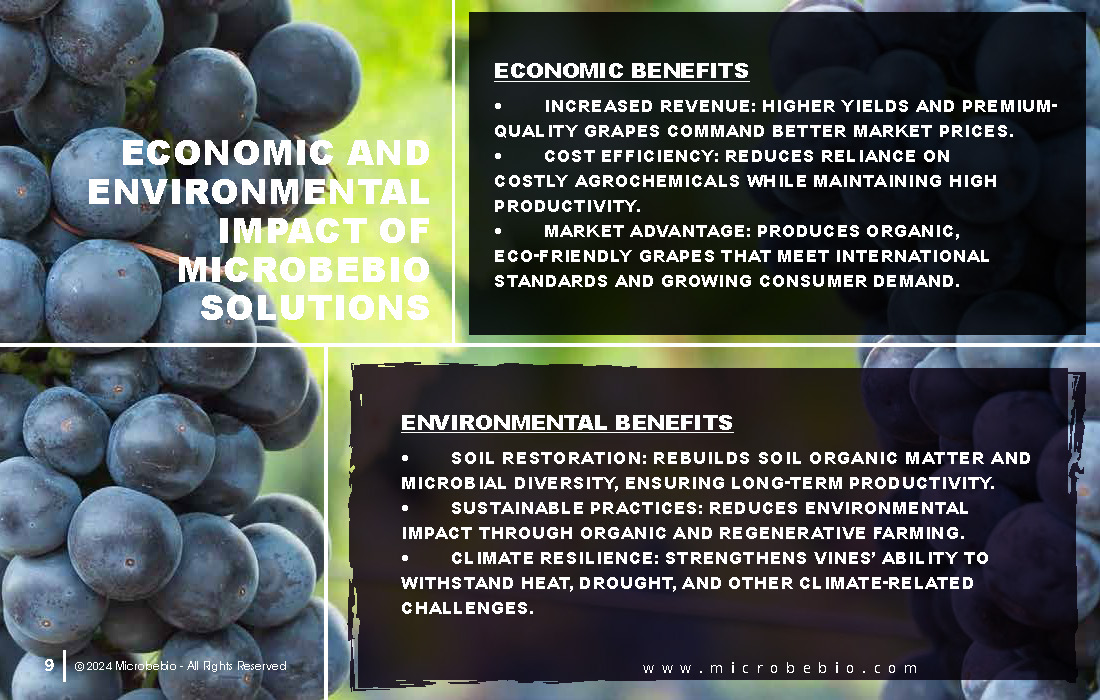 Transforming Grape Farming in Africa with 100 Organic, Sustainable Solutions - 12 16 24_Page_09