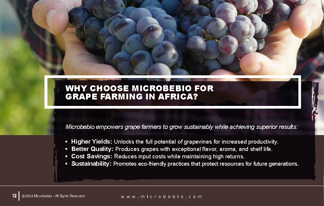 Transforming Grape Farming in Africa with 100 Organic, Sustainable Solutions - 12 16 24_Page_12