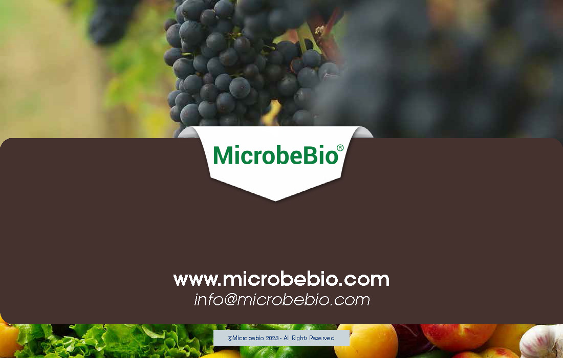 Transforming Grape Farming in Africa with 100 Organic, Sustainable Solutions - 12 16 24_Page_13