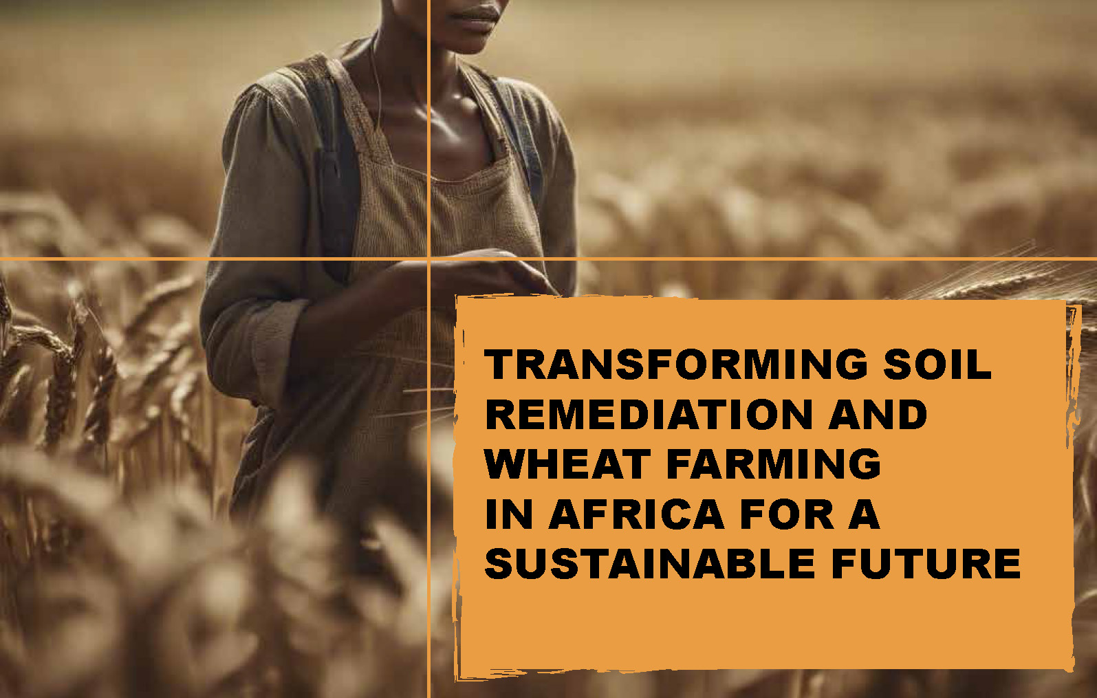 Transforming Soil Remediation and Wheat Farming in Africa for a Sustainable Future_Page_02