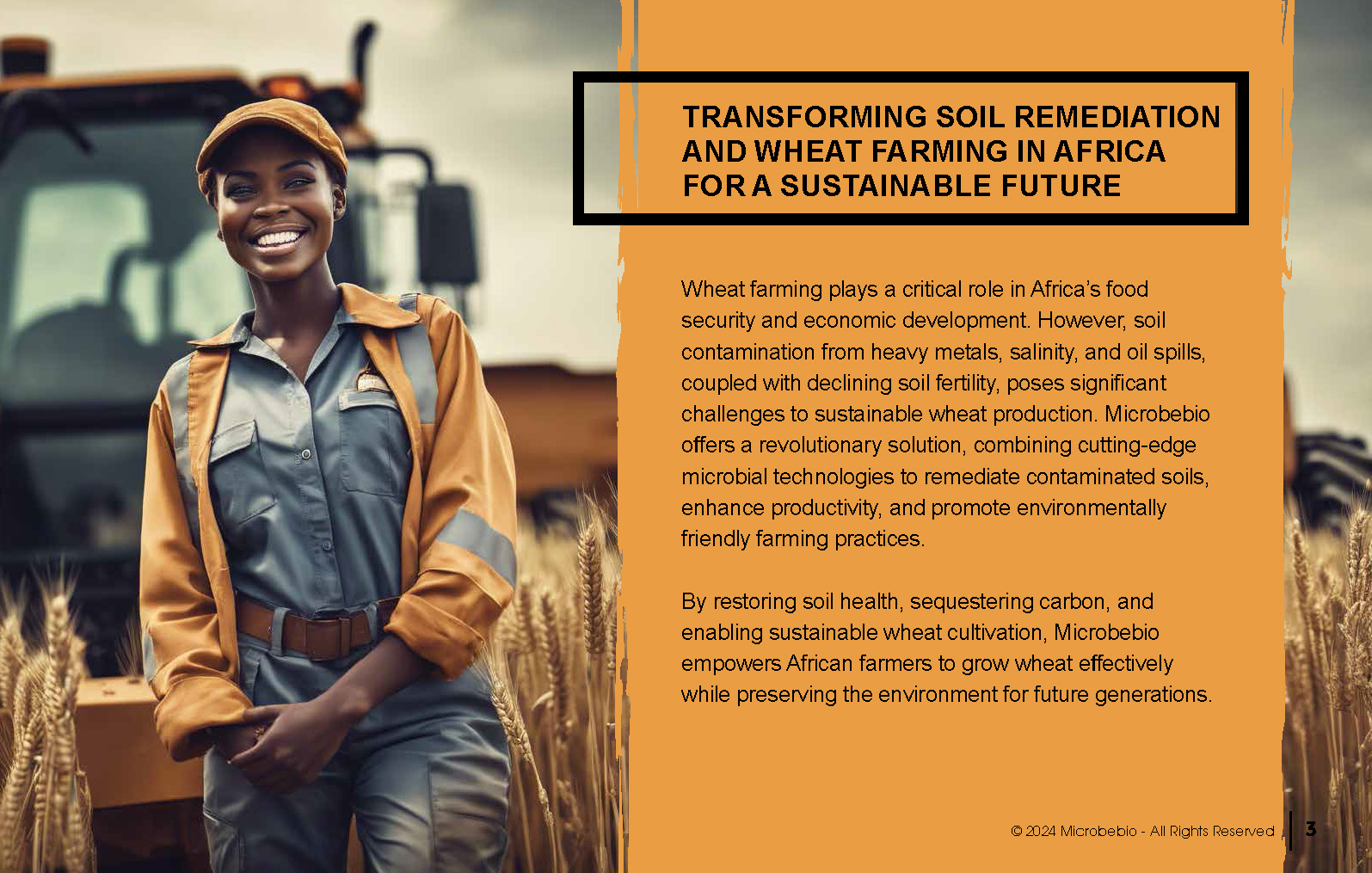 Transforming Soil Remediation and Wheat Farming in Africa for a Sustainable Future_Page_03