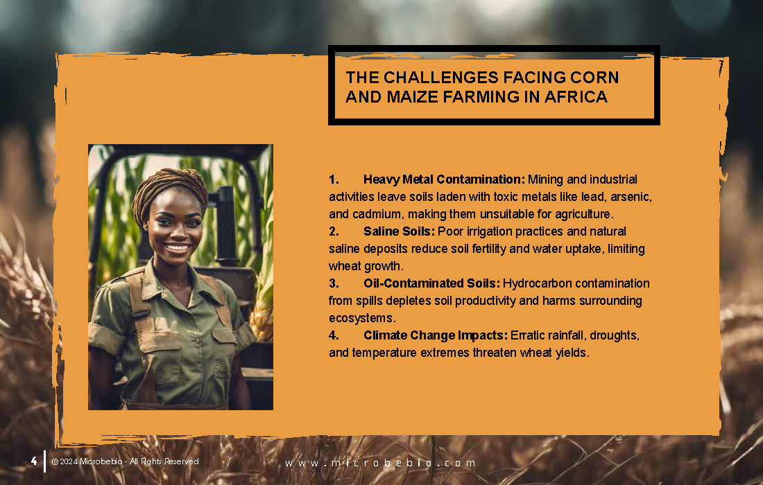 Transforming Soil Remediation and Wheat Farming in Africa for a Sustainable Future_Page_04