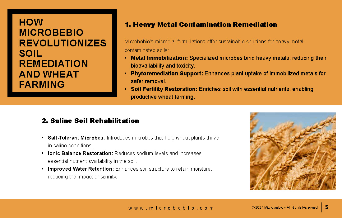 Transforming Soil Remediation and Wheat Farming in Africa for a Sustainable Future_Page_05