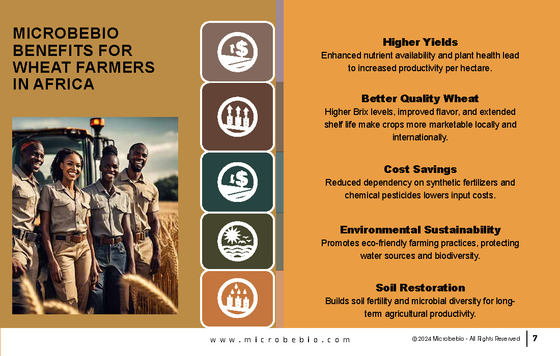 Transforming Soil Remediation and Wheat Farming in Africa for a Sustainable Future_Page_07