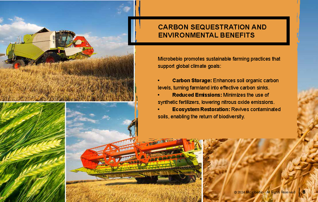 Transforming Soil Remediation and Wheat Farming in Africa for a Sustainable Future_Page_08