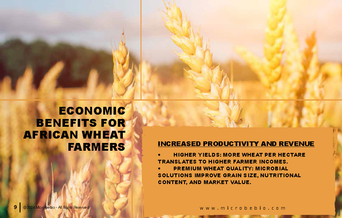 Transforming Soil Remediation and Wheat Farming in Africa for a Sustainable Future_Page_09