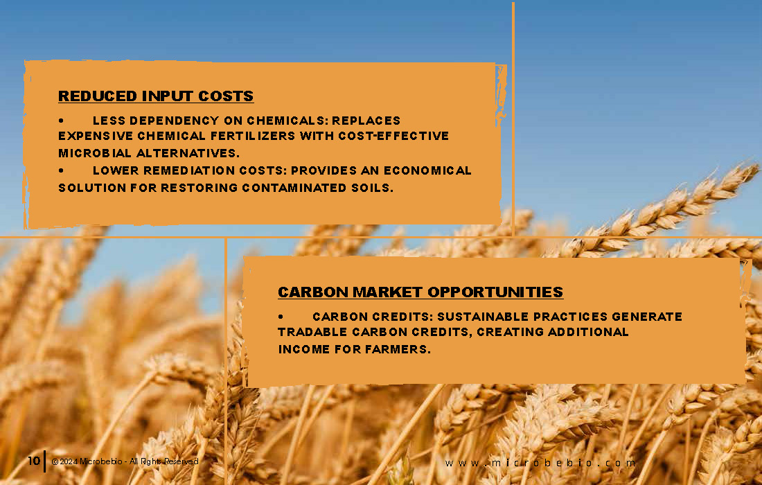Transforming Soil Remediation and Wheat Farming in Africa for a Sustainable Future_Page_10