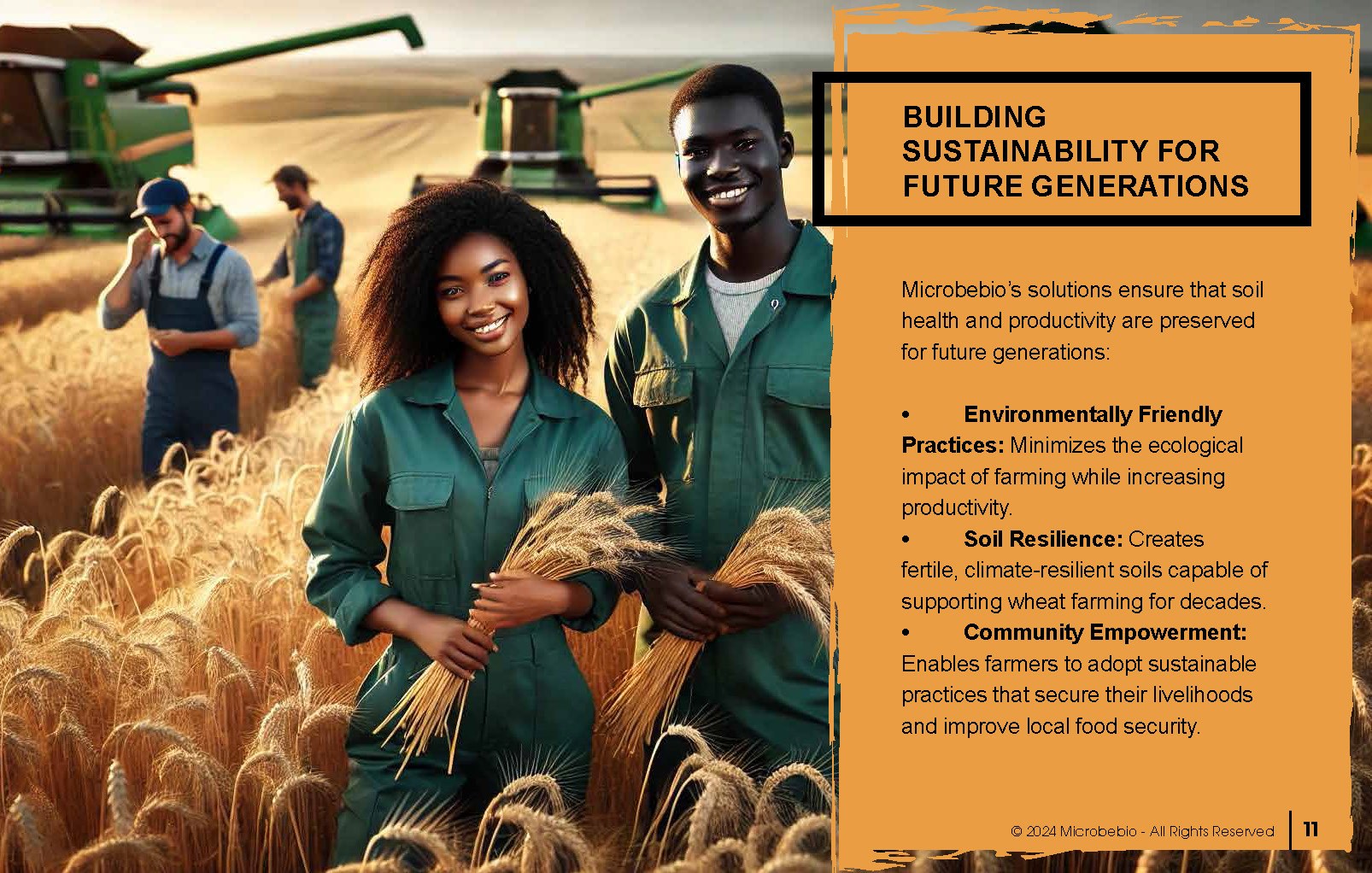 Transforming Soil Remediation and Wheat Farming in Africa for a Sustainable Future_Page_11