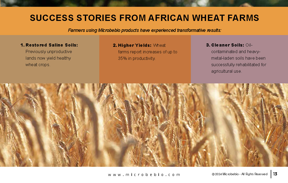 Transforming Soil Remediation and Wheat Farming in Africa for a Sustainable Future_Page_13