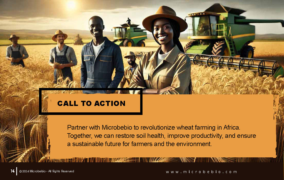 Transforming Soil Remediation and Wheat Farming in Africa for a Sustainable Future_Page_14