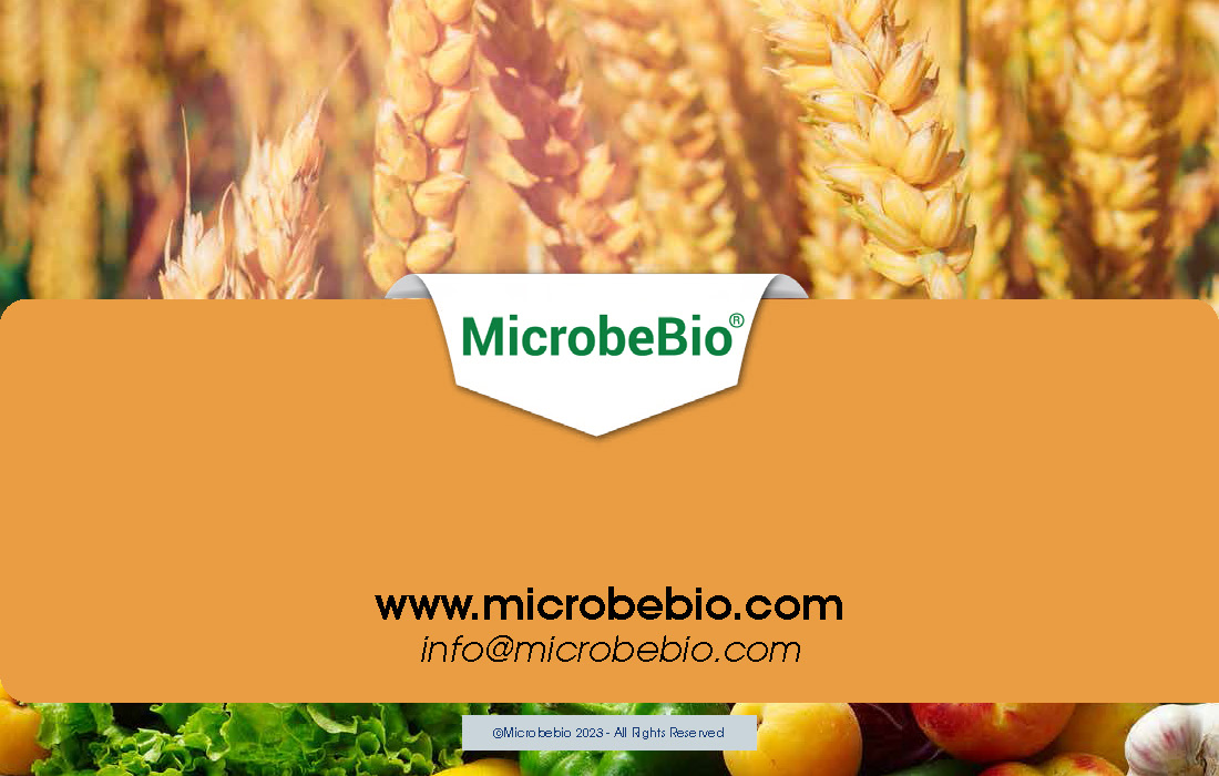 Transforming Soil Remediation and Wheat Farming in Africa for a Sustainable Future_Page_15