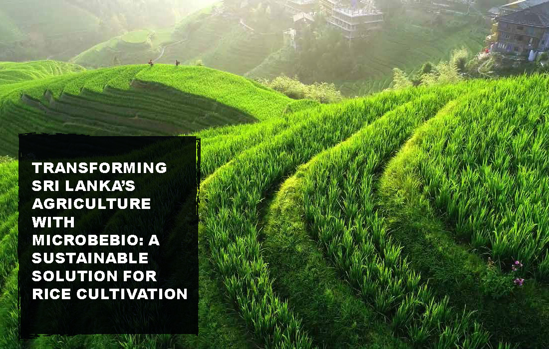 Transforming Sri Lanka Agriculture with Microbebio_Page_02