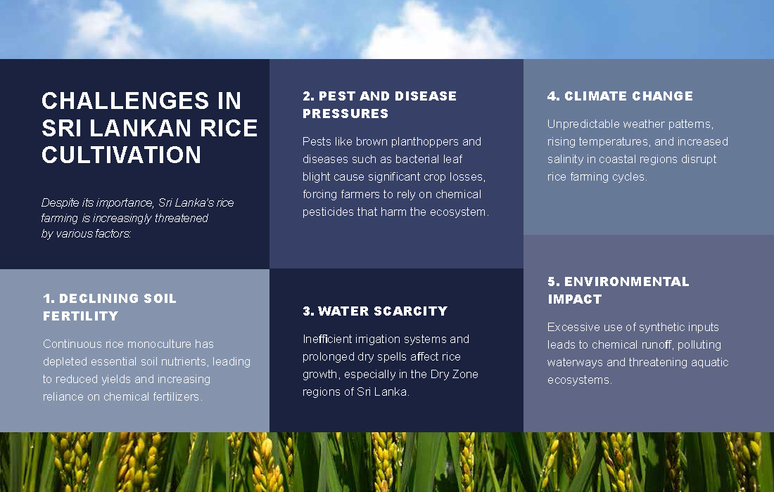 Transforming Sri Lanka Agriculture with Microbebio_Page_04