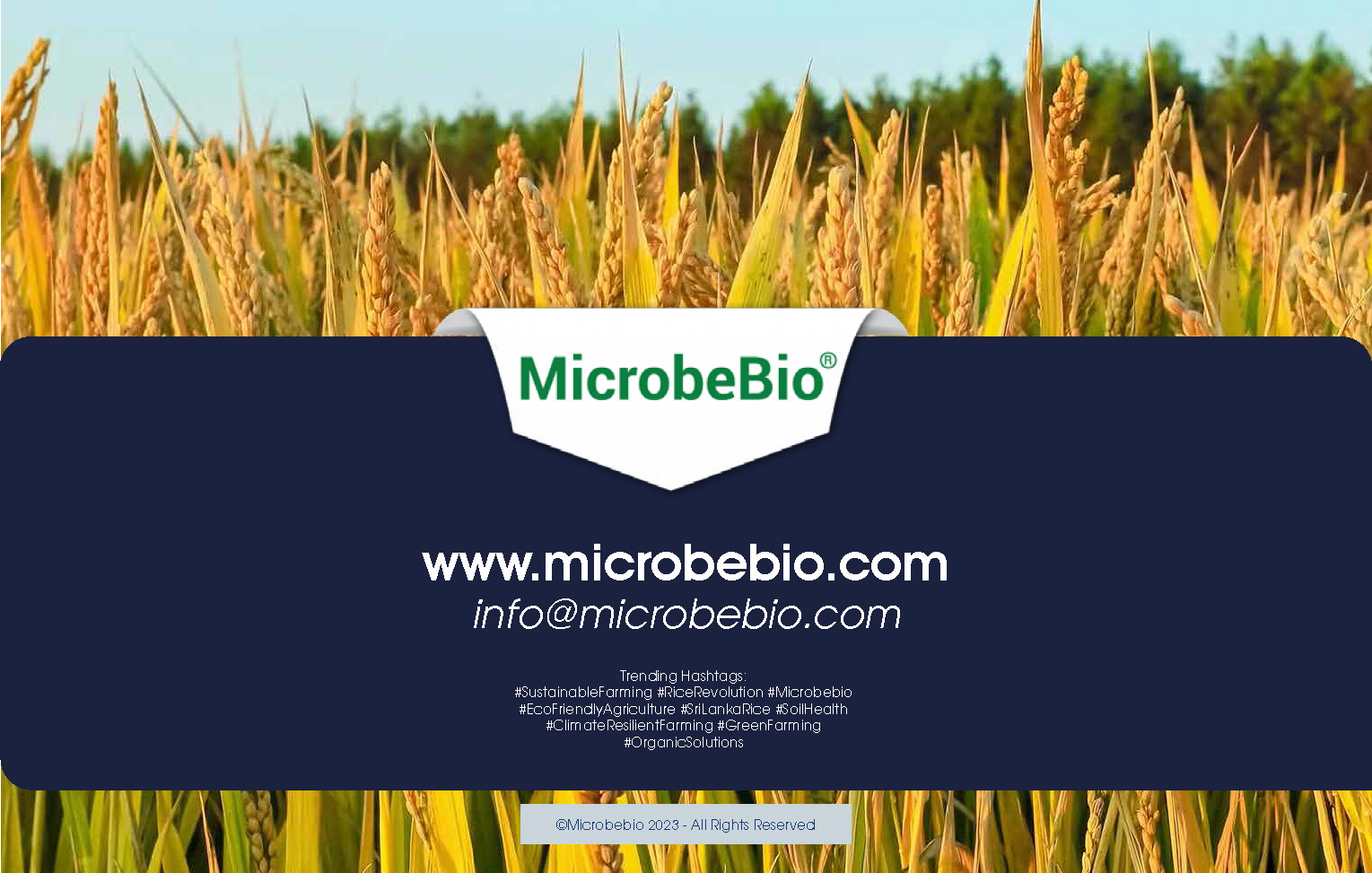 Transforming Sri Lanka Agriculture with Microbebio_Page_14