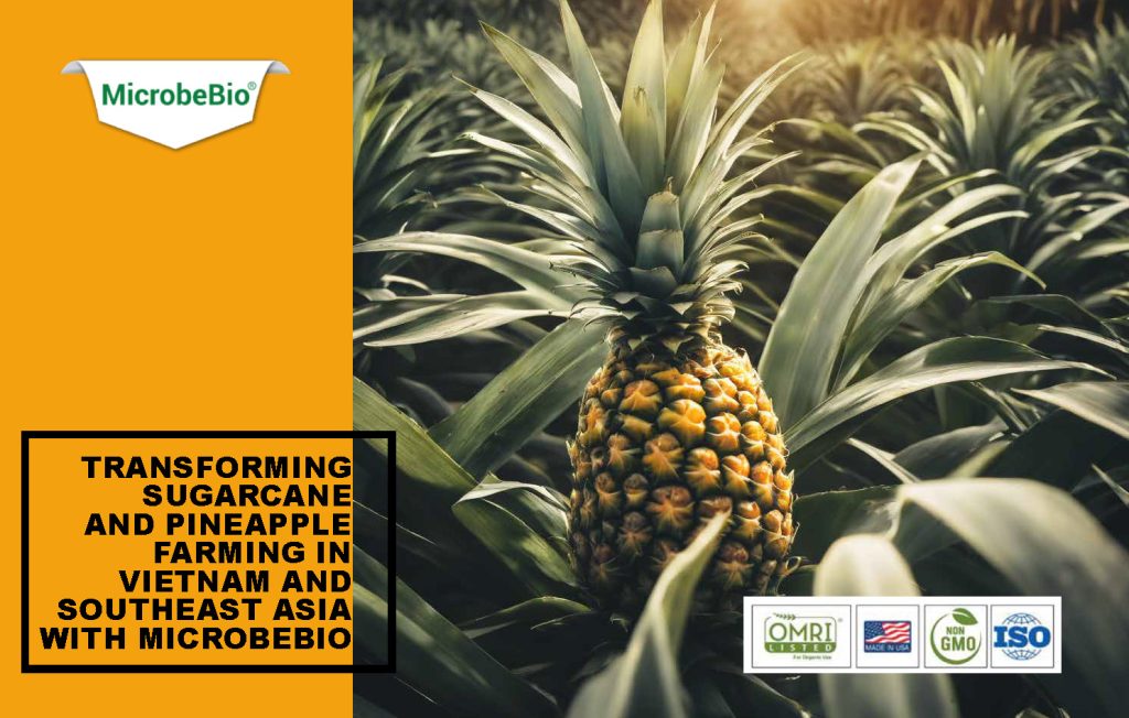 Transforming Sugarcane and Pineapple Farming in Vietnam and Southeast Asia with Microbebio