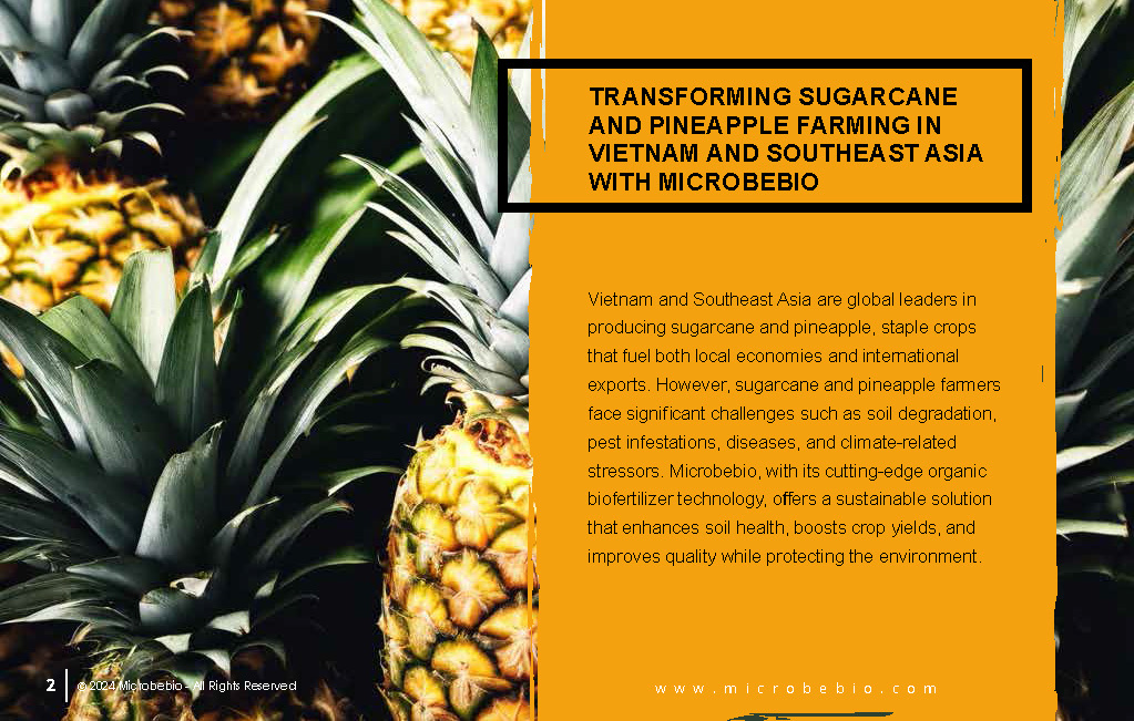 Transforming Sugarcane and Pineapple Farming in Vietnam and Southeast Asia with Microbebio_Page_2
