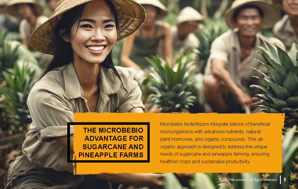 Transforming Sugarcane and Pineapple Farming in Vietnam and Southeast Asia with Microbebio_Page_3