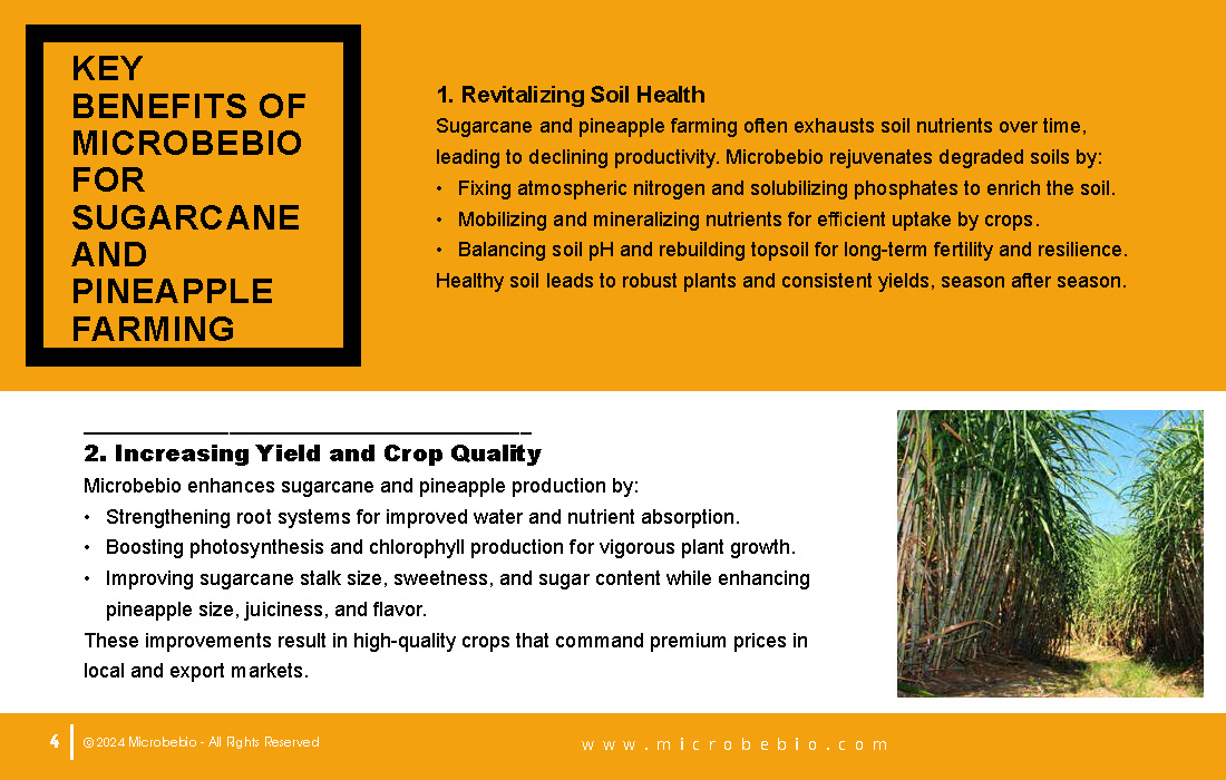 Transforming Sugarcane and Pineapple Farming in Vietnam and Southeast Asia with Microbebio_Page_4