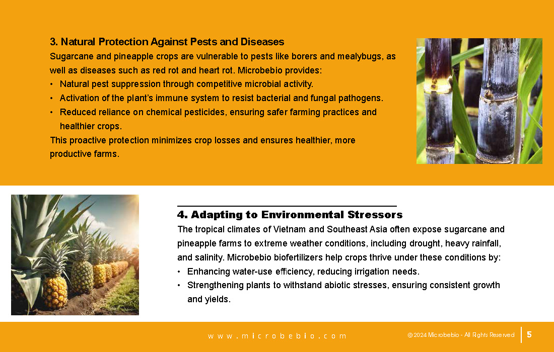 Transforming Sugarcane and Pineapple Farming in Vietnam and Southeast Asia with Microbebio_Page_5