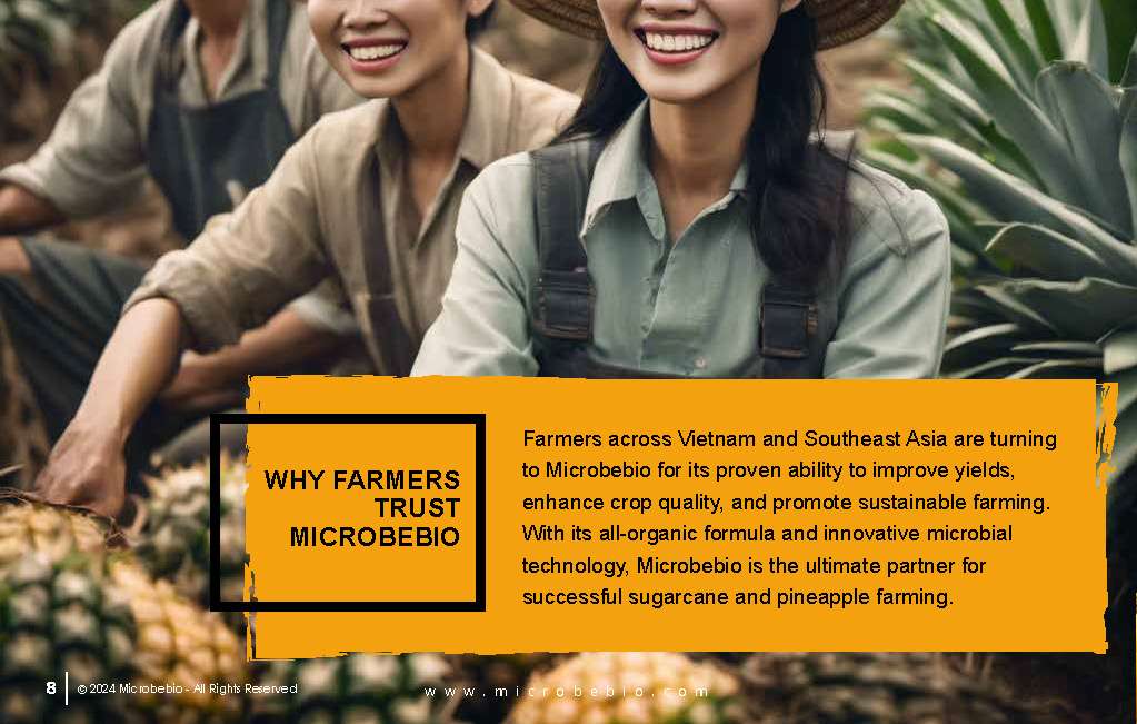 Transforming Sugarcane and Pineapple Farming in Vietnam and Southeast Asia with Microbebio_Page_8