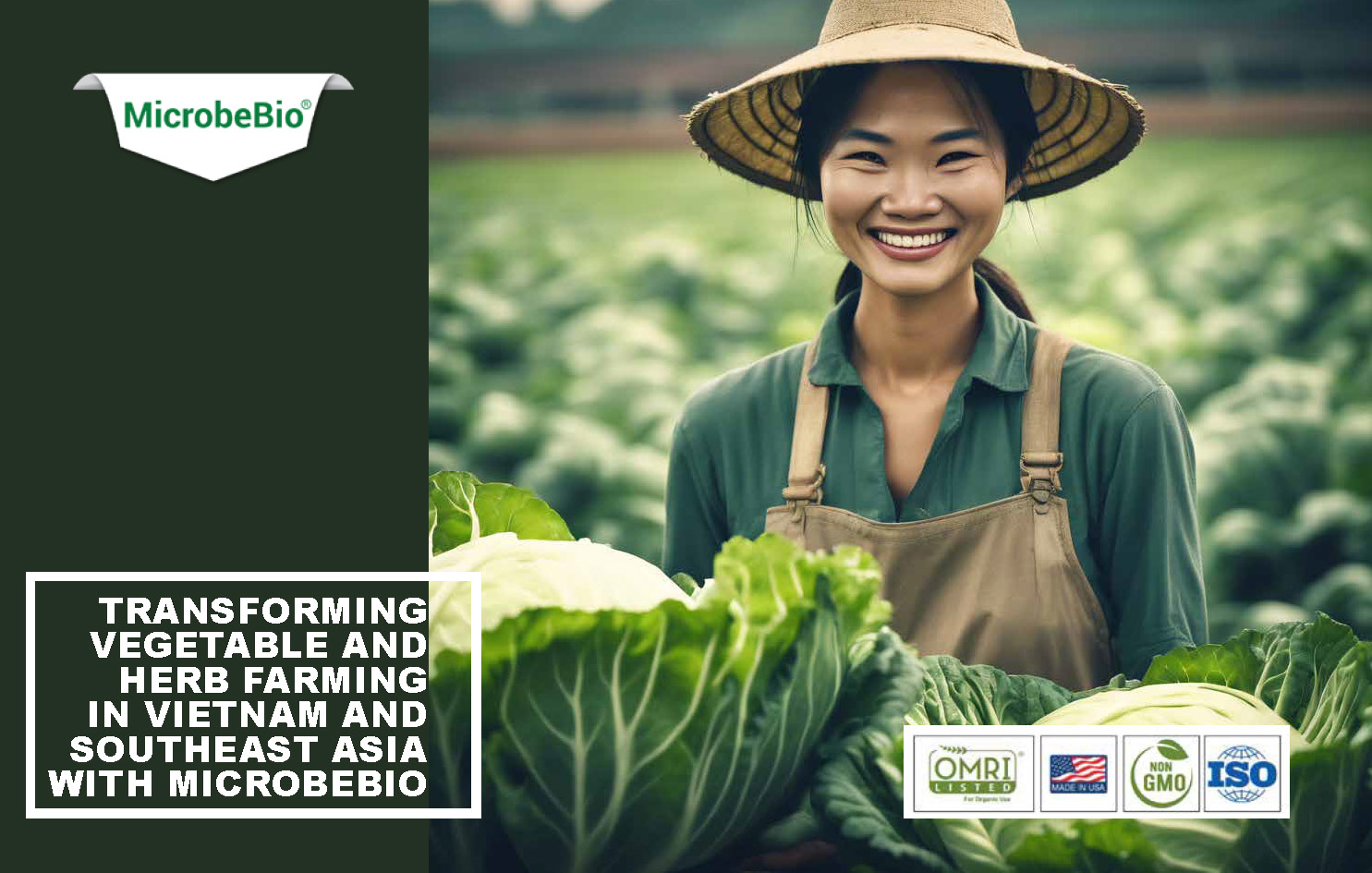 Transforming Vegetable and Herb Farming in Vietnam and Southeast Asia with Microbebio_Page_1