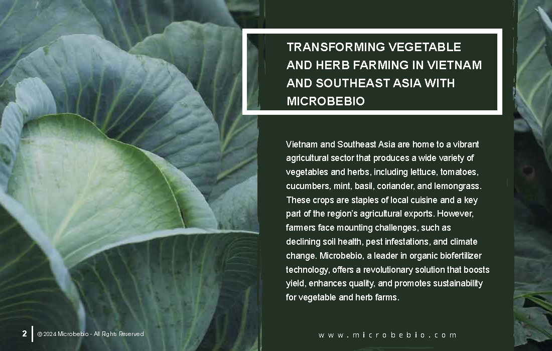 Transforming Vegetable and Herb Farming in Vietnam and Southeast Asia with Microbebio_Page_2