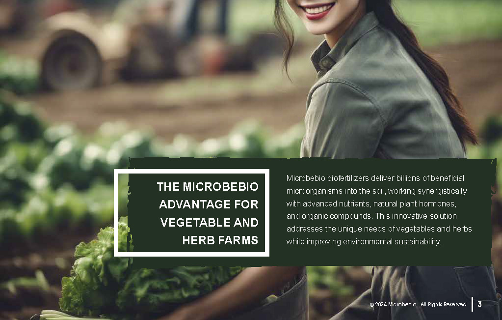 Transforming Vegetable and Herb Farming in Vietnam and Southeast Asia with Microbebio_Page_3