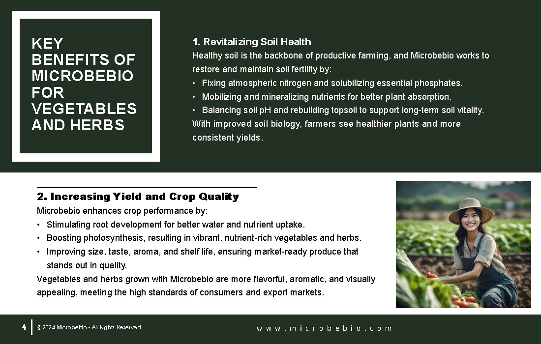 Transforming Vegetable and Herb Farming in Vietnam and Southeast Asia with Microbebio_Page_4