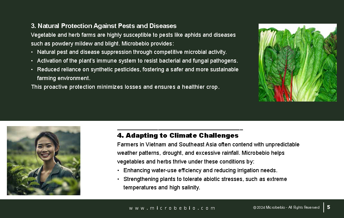 Transforming Vegetable and Herb Farming in Vietnam and Southeast Asia with Microbebio_Page_5