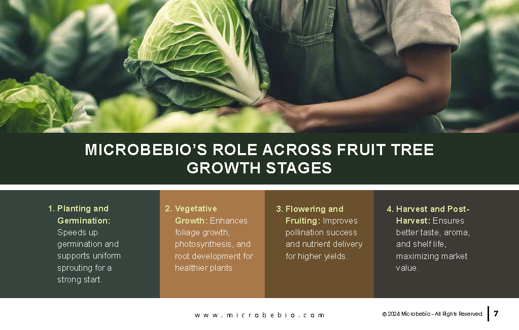 Transforming Vegetable and Herb Farming in Vietnam and Southeast Asia with Microbebio_Page_7