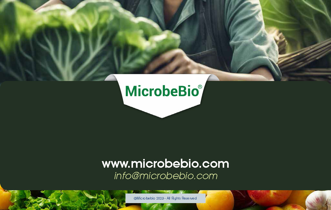 Transforming Vegetable and Herb Farming in Vietnam and Southeast Asia with Microbebio_Page_9