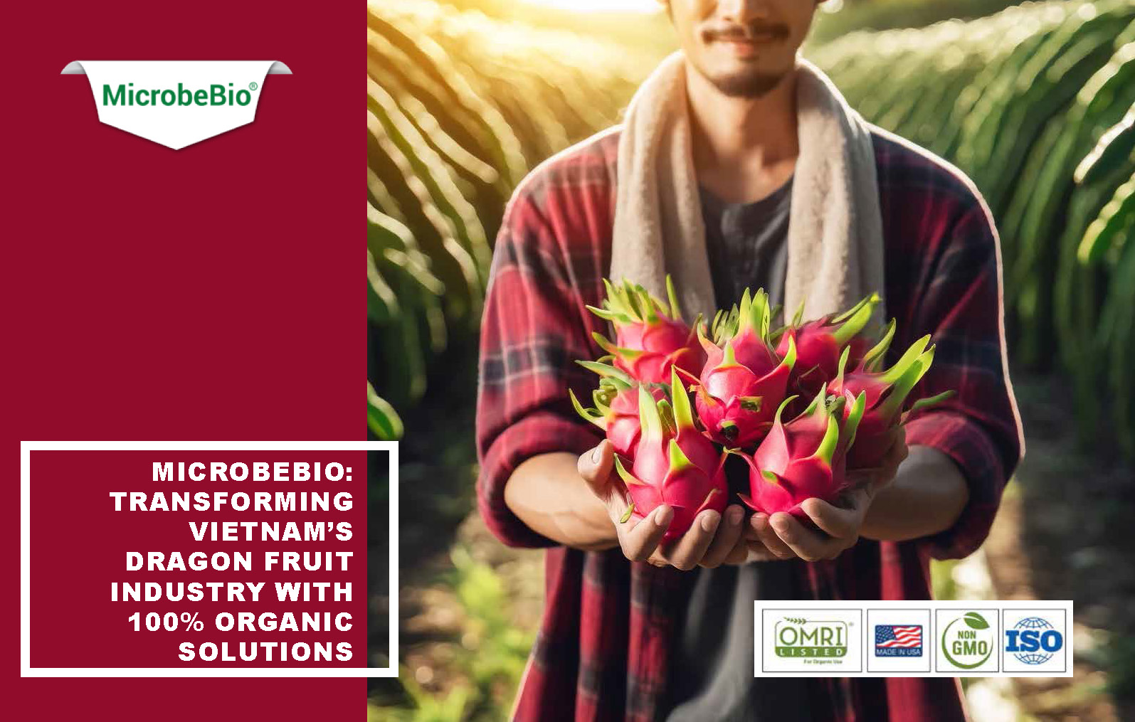 Transforming Vietnam Dragon Fruit Industry with 100 Organic Solutions_Page_01