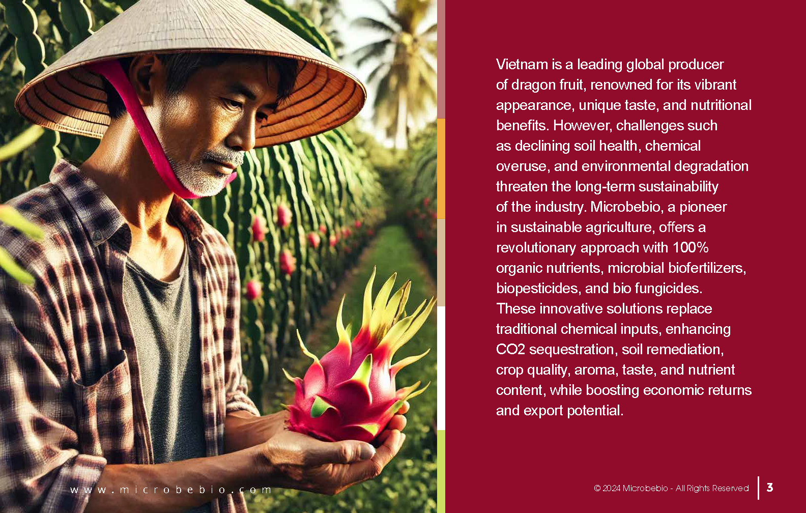 Transforming Vietnam Dragon Fruit Industry with 100 Organic Solutions_Page_03