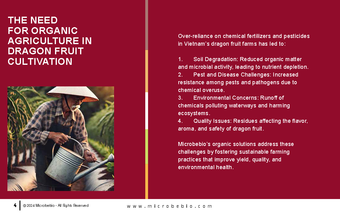Transforming Vietnam Dragon Fruit Industry with 100 Organic Solutions_Page_04