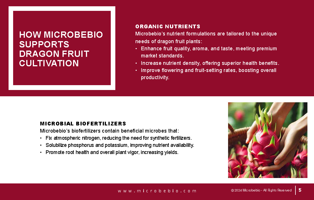 Transforming Vietnam Dragon Fruit Industry with 100 Organic Solutions_Page_05