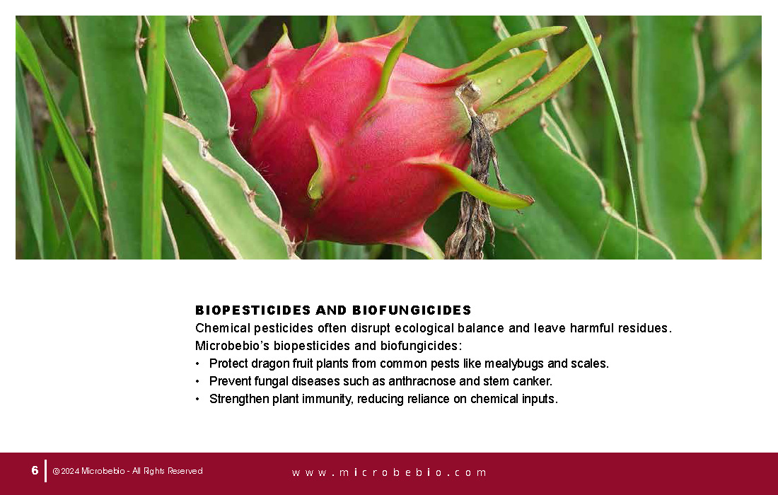 Transforming Vietnam Dragon Fruit Industry with 100 Organic Solutions_Page_06
