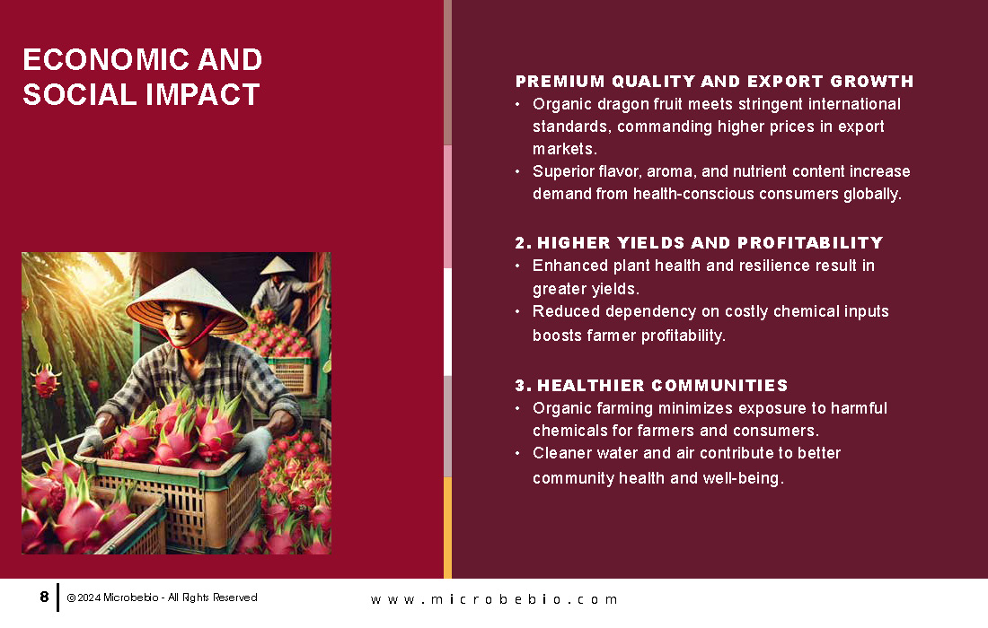 Transforming Vietnam Dragon Fruit Industry with 100 Organic Solutions_Page_08